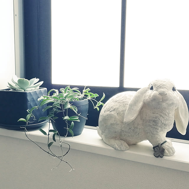 coco.Apartmanさんの実例写真