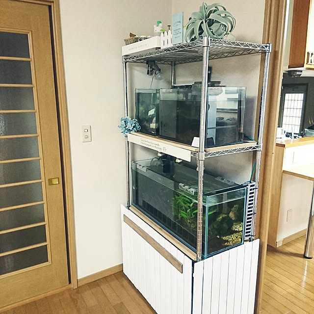 chisatsunさんの実例写真