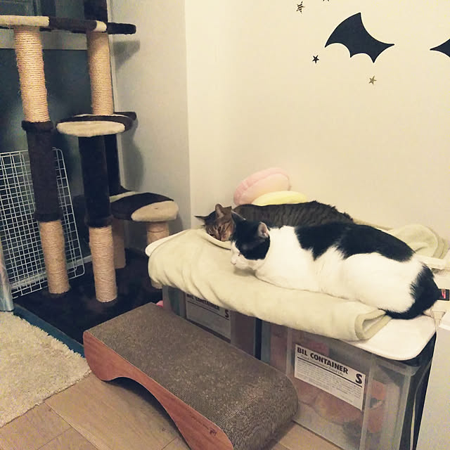 futukoのペティオ (Petio)-キャットタワー 猫タワー 据え置き型 ケージ ゲージ おしゃれ アドメイト Add.Mate 猫のおあそびポール お魚ファミリー ハイタイプ 室内の家具・インテリア写真