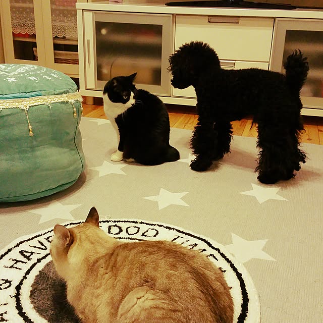 tomoppさんの実例写真