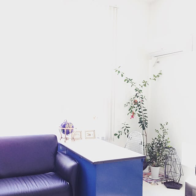 nonononakaさんの実例写真