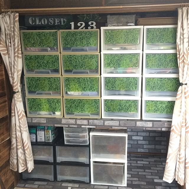 osakanaさんの実例写真