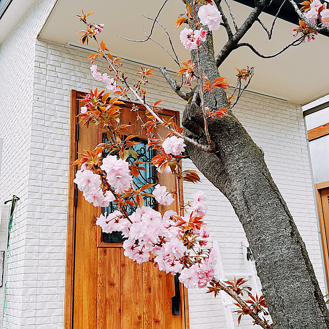 rizumu4649さんの実例写真