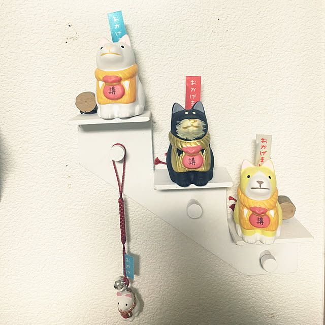 yuuさんの実例写真