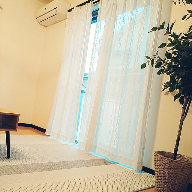 aho51さんの実例写真