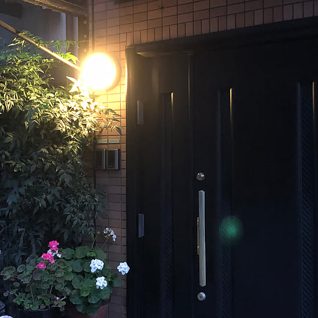 KirinPandaさんの実例写真