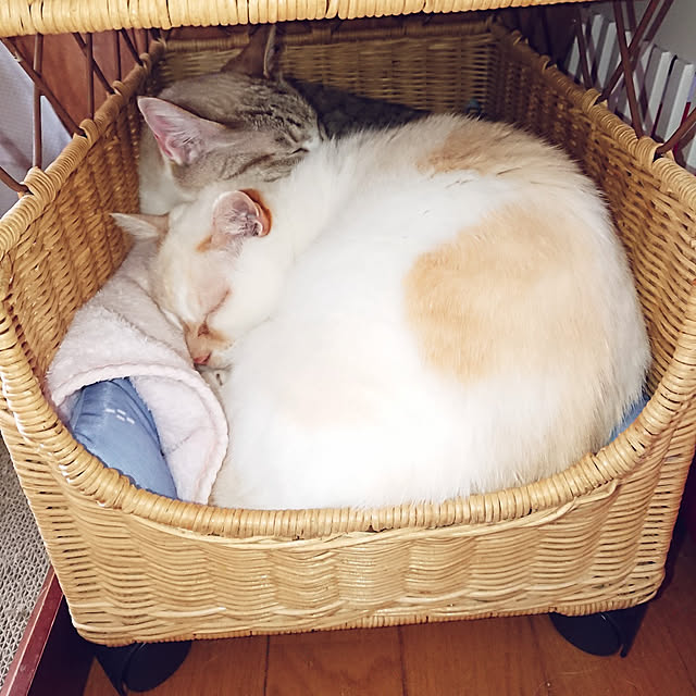 nachiさんの実例写真
