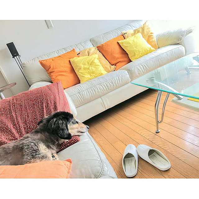 hiyo.pietさんの実例写真