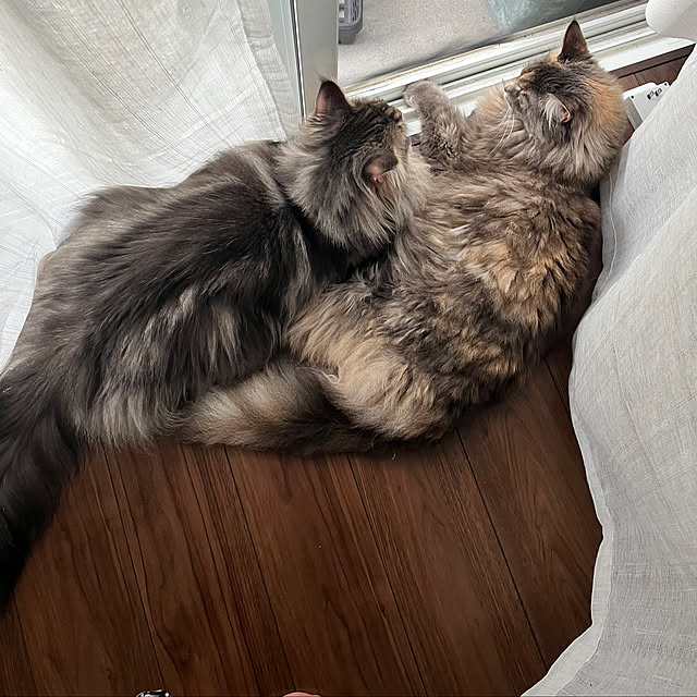 mayumiさんの部屋