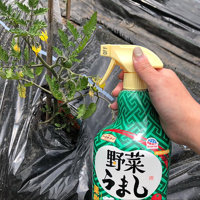 8717さんの実例写真