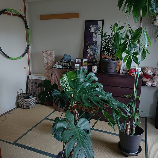 tabitubameさんの実例写真
