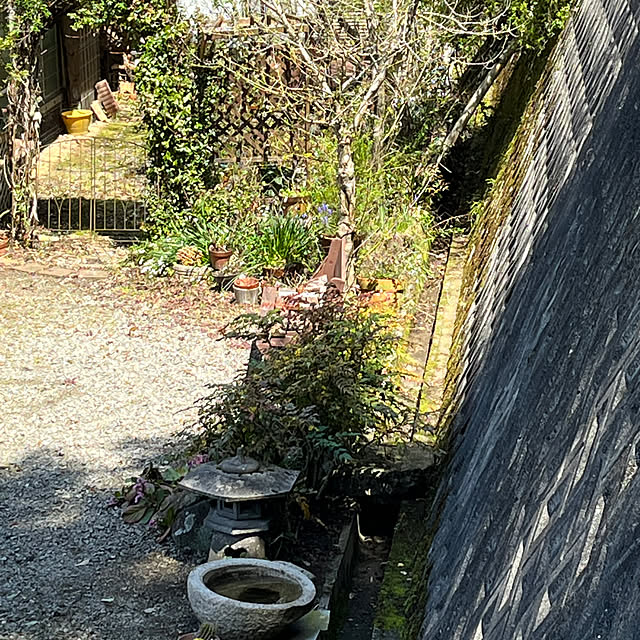 cota2さんの部屋