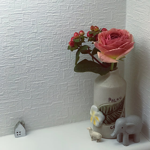 Naopoooさんの実例写真