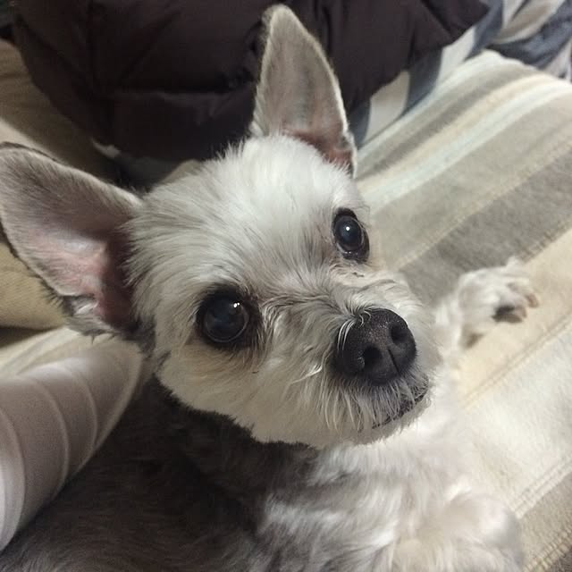 tomoさんの実例写真