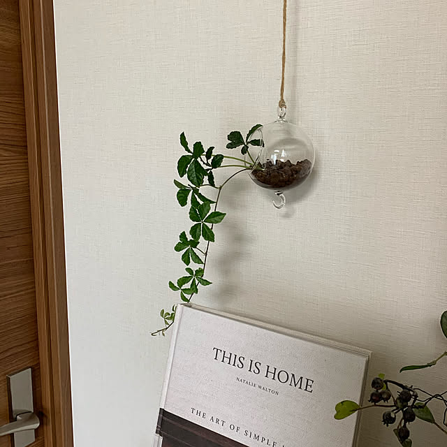 mintさんの実例写真