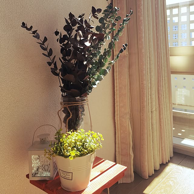 sunshine_floridaさんの実例写真