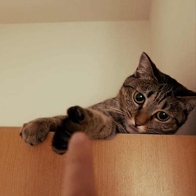 Mさんの実例写真