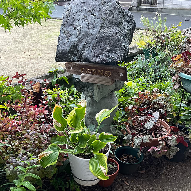 buchiさんの部屋