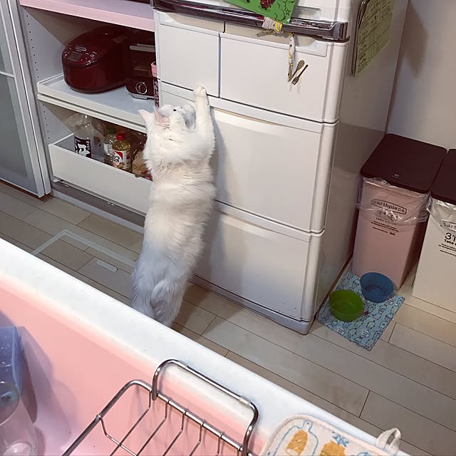 Msenbeeeさんの実例写真