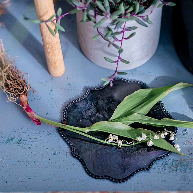 ayamaruさんの実例写真