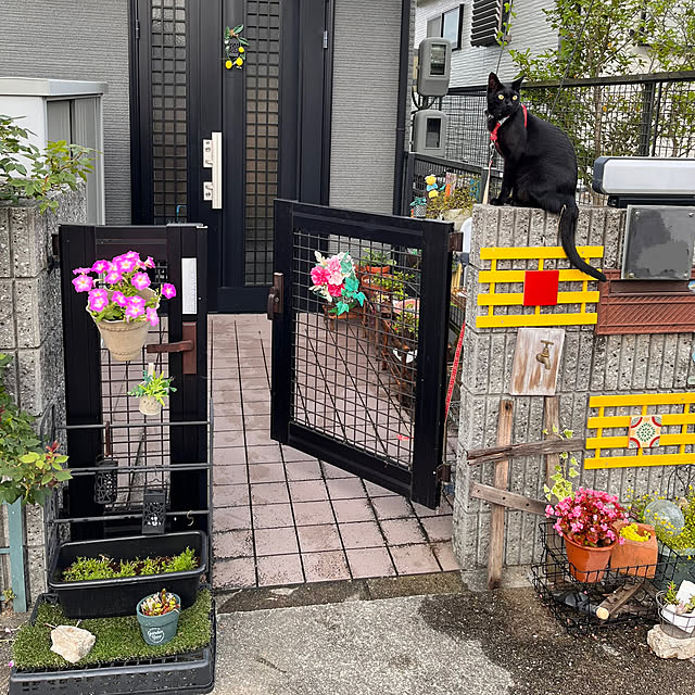 jijiさんの実例写真
