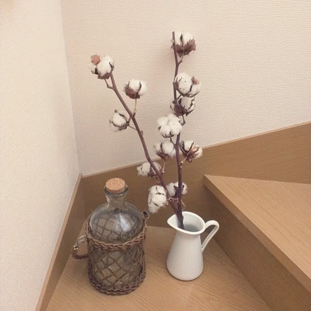marorinさんの実例写真