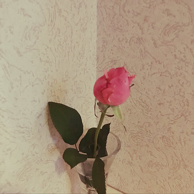 hamayo.さんの実例写真