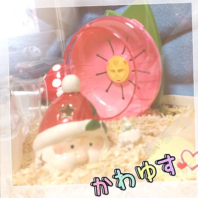 M-kaさんの実例写真