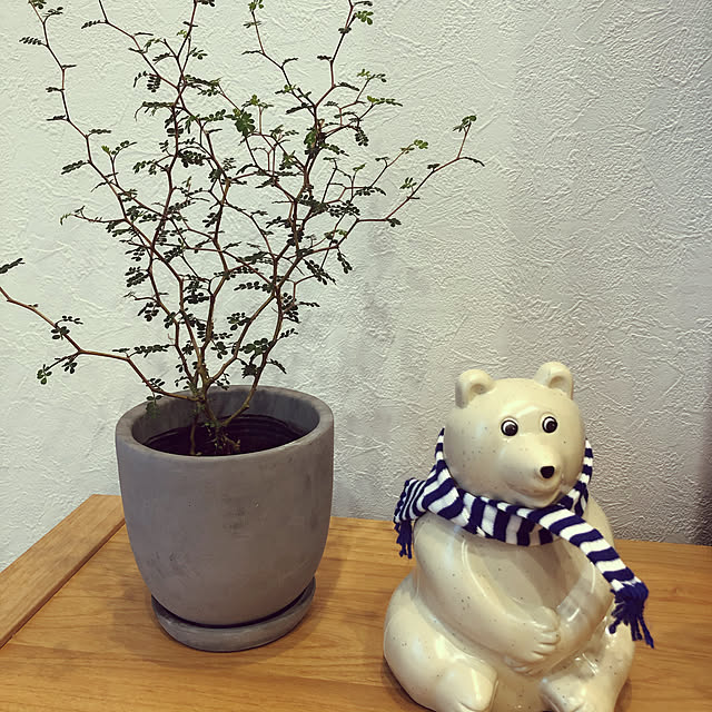 nanaさんの実例写真