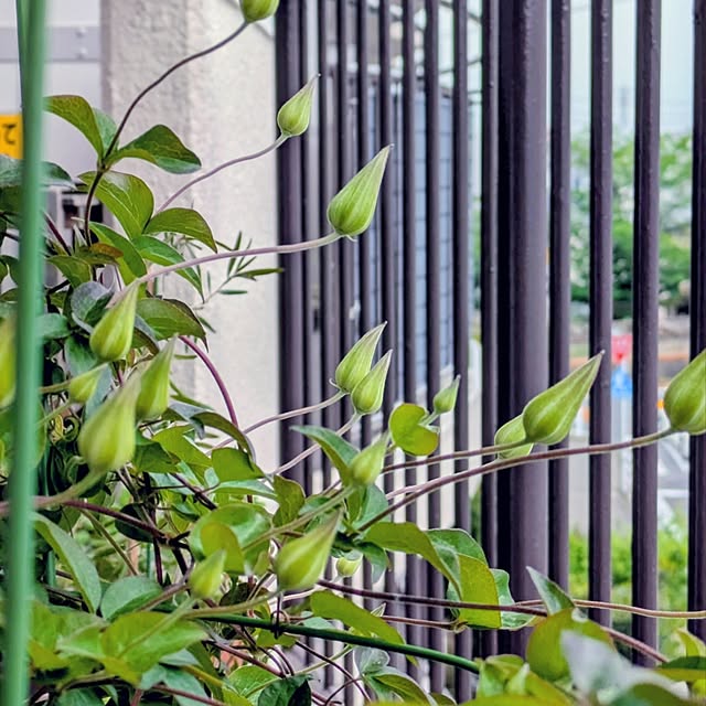 mi-saさんの部屋