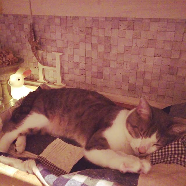 kurumiさんの実例写真