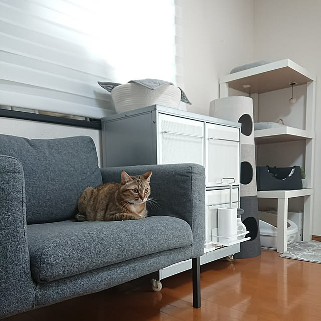 maikyさんの実例写真