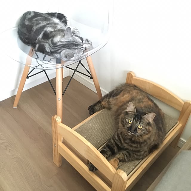 mikomaruさんの実例写真