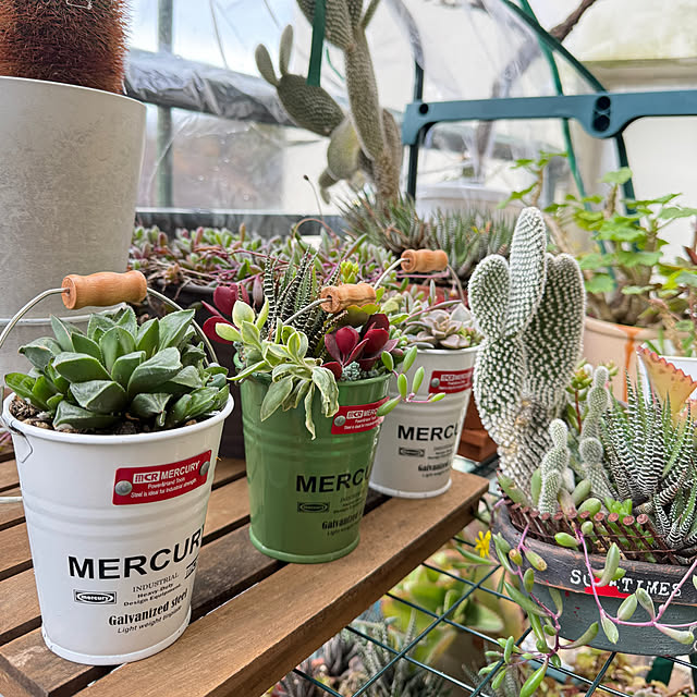 Aqettyさんの部屋