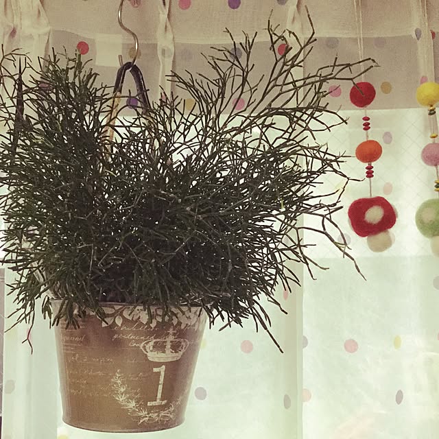 rinrinさんの実例写真