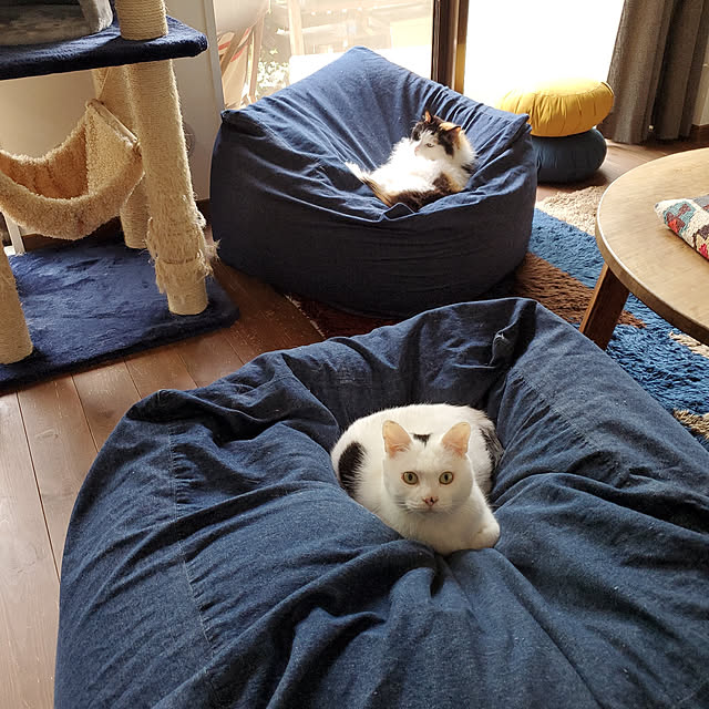 booさんの実例写真