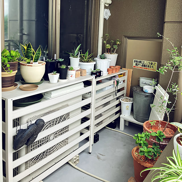 koshiregutyoさんの部屋