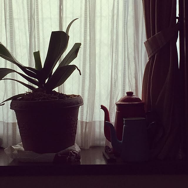 Harunaさんの実例写真