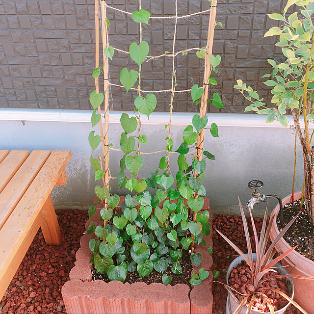 noyama5さんの実例写真