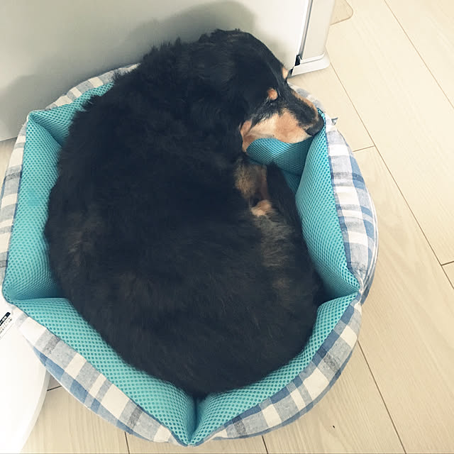 ohanaさんの実例写真