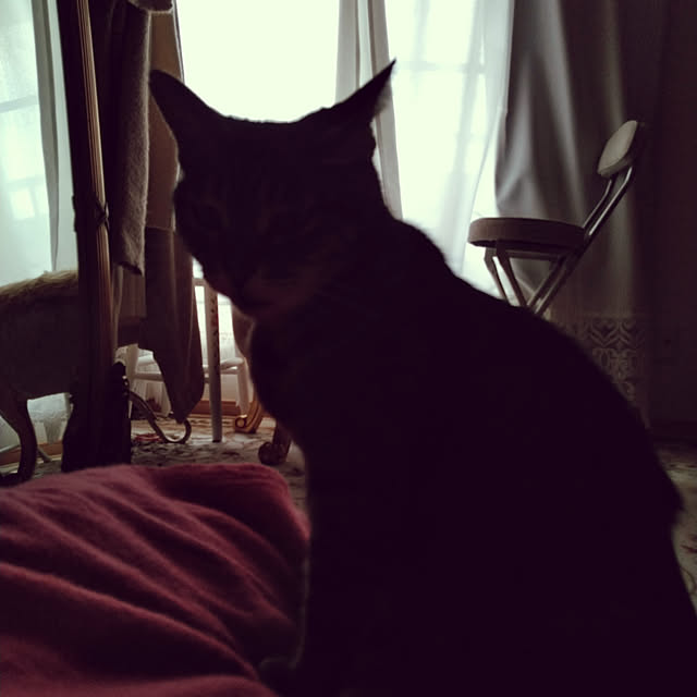 lilyさんの実例写真