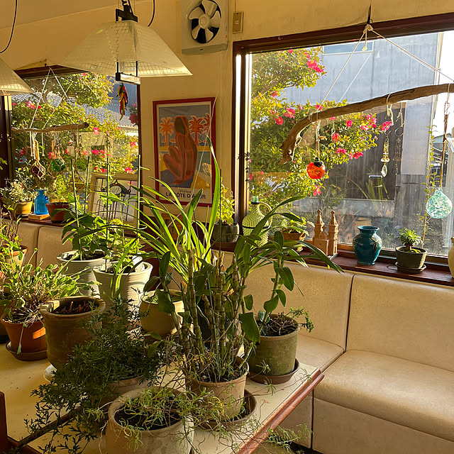 shin0719さんの実例写真