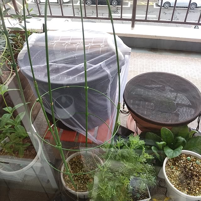 mi-saさんの実例写真