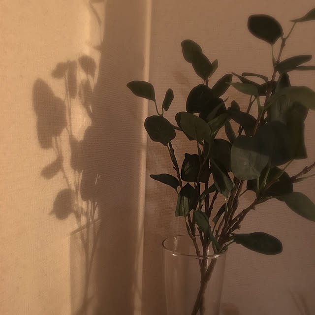 karinさんの実例写真