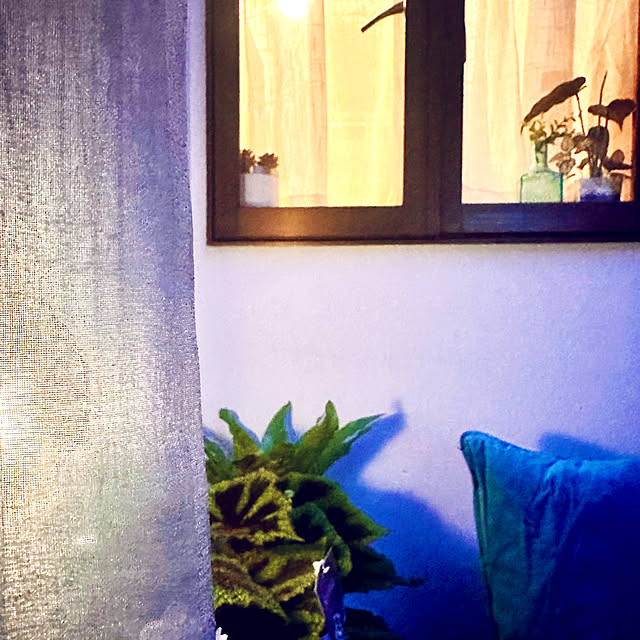 chacoさんの部屋
