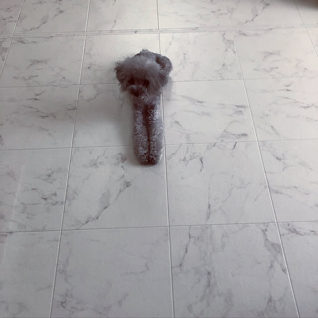kaoさんの実例写真