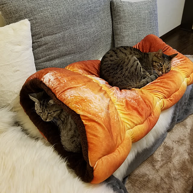 yumiさんの実例写真