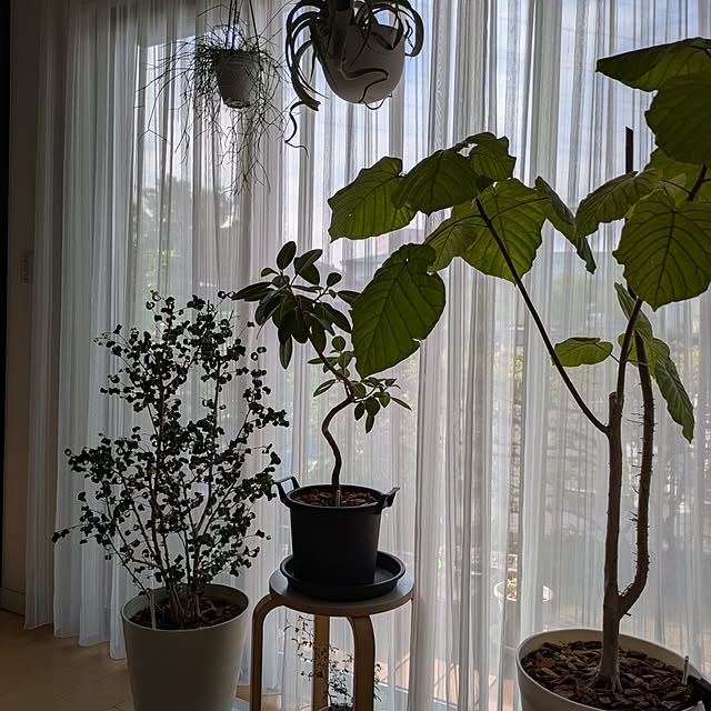 naoさんの部屋