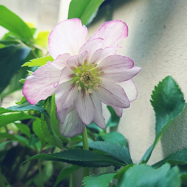 mimi828さんの部屋