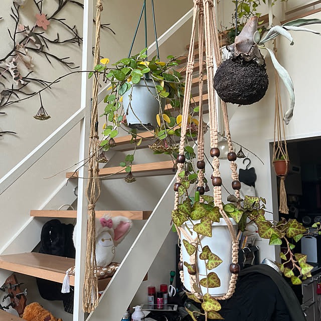 khaiさんの実例写真